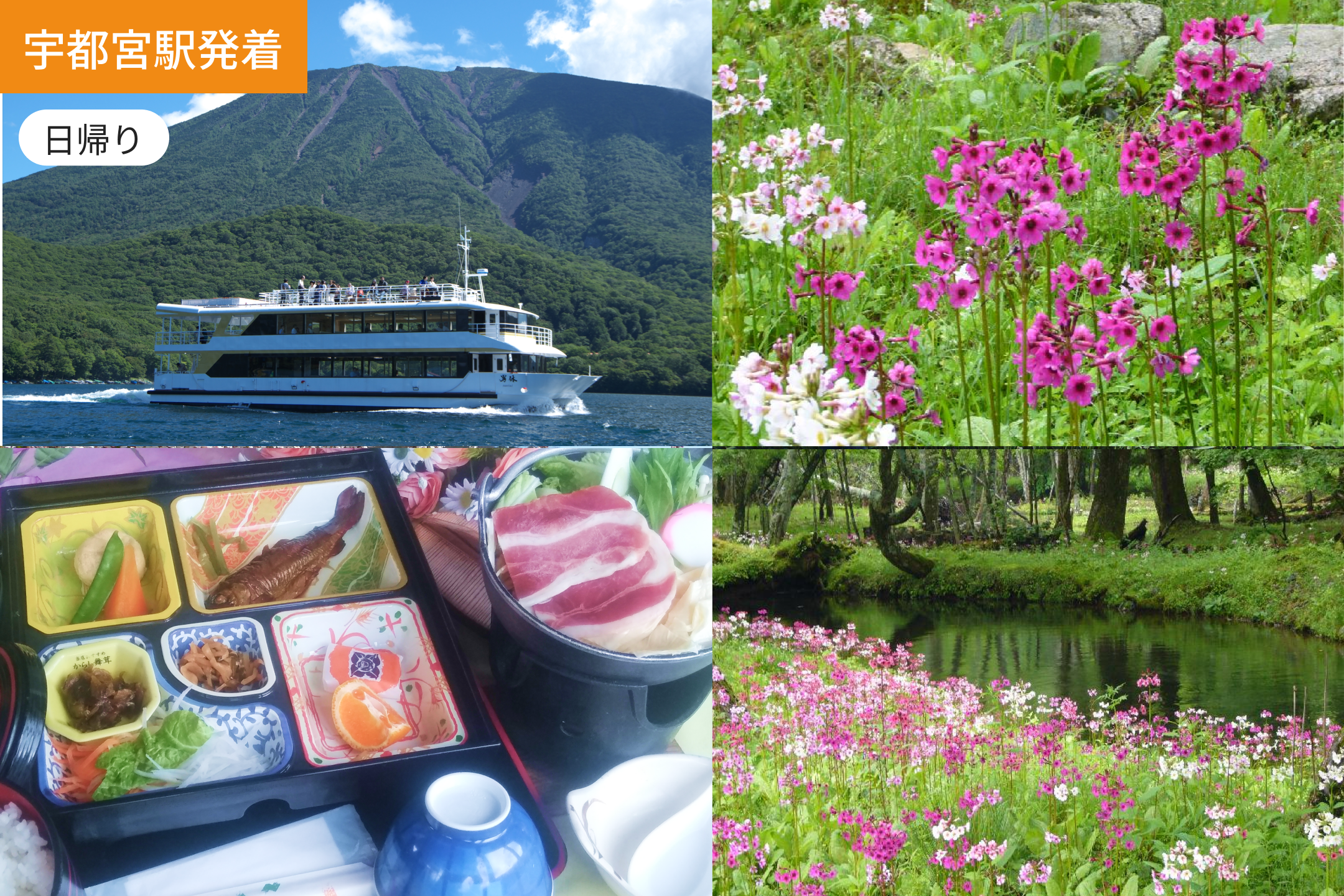 【宇都宮発着】奥日光の桃源郷千手が浜クリンソウ畑見学と中禅寺湖遊覧船【昼食付】/ WEB割引5%引き ＜日帰り＞1