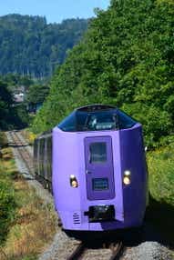 【札幌駅発】 観光列車「特急フラノラベンダーエクスプレス」で行く！ 富良野・美瑛ノロッコ号乗車と爽やか富良野さんぽ