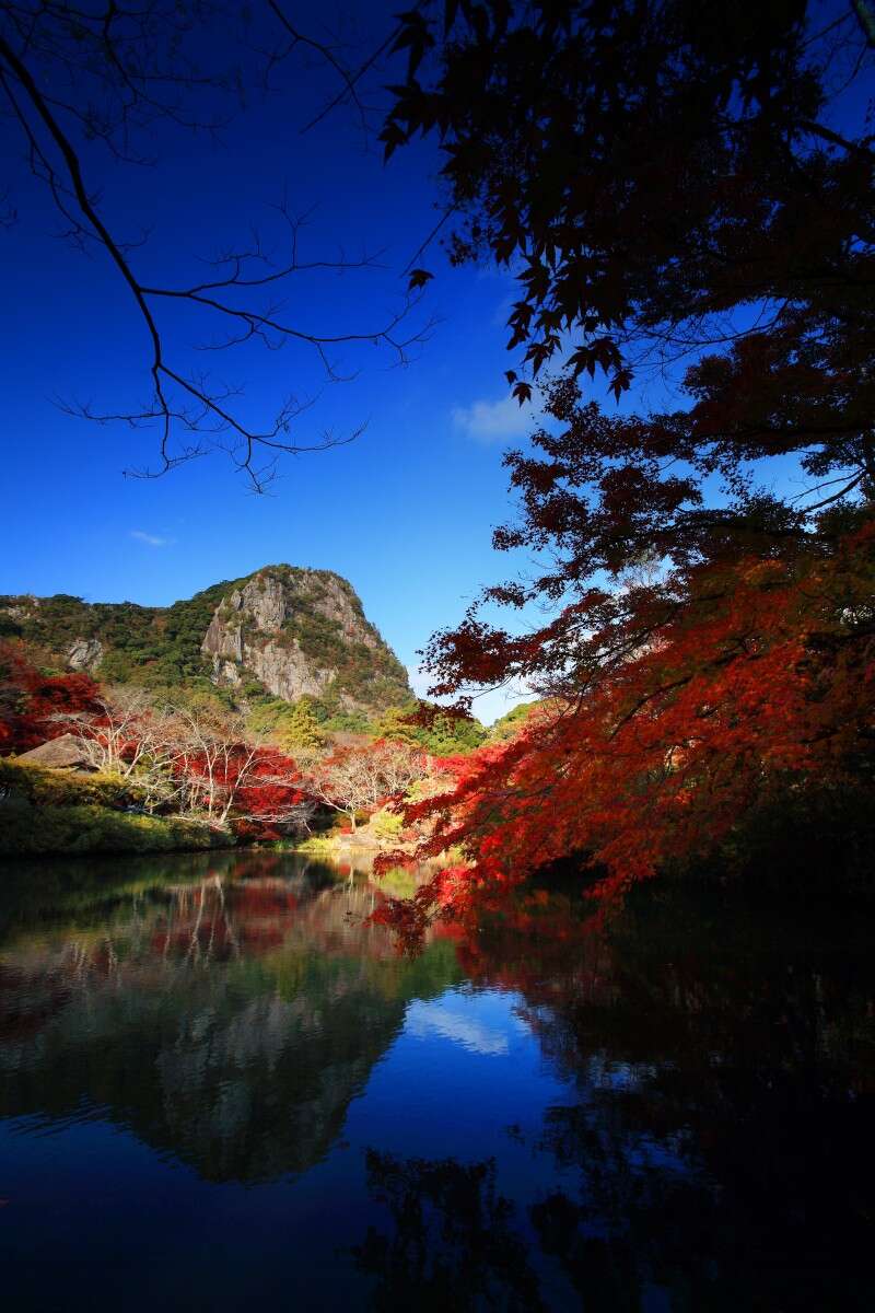 【山口県内新幹線（新下関～新岩国）発】 長崎市内泊★特別観覧席から見る　ハウステンボス第13回九州一大花火まつり２日間2