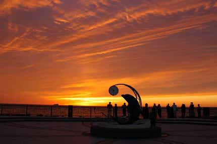 【山口宇部空港発】 往復・稚内空港便利用　春の利尻・礼文・稚内さいはて紀行３日間　８つのグルメ！毛がに・ずわいがに足・ほたて・たこ・いくら・ほっけ・蝦夷アワビ・宗谷牛