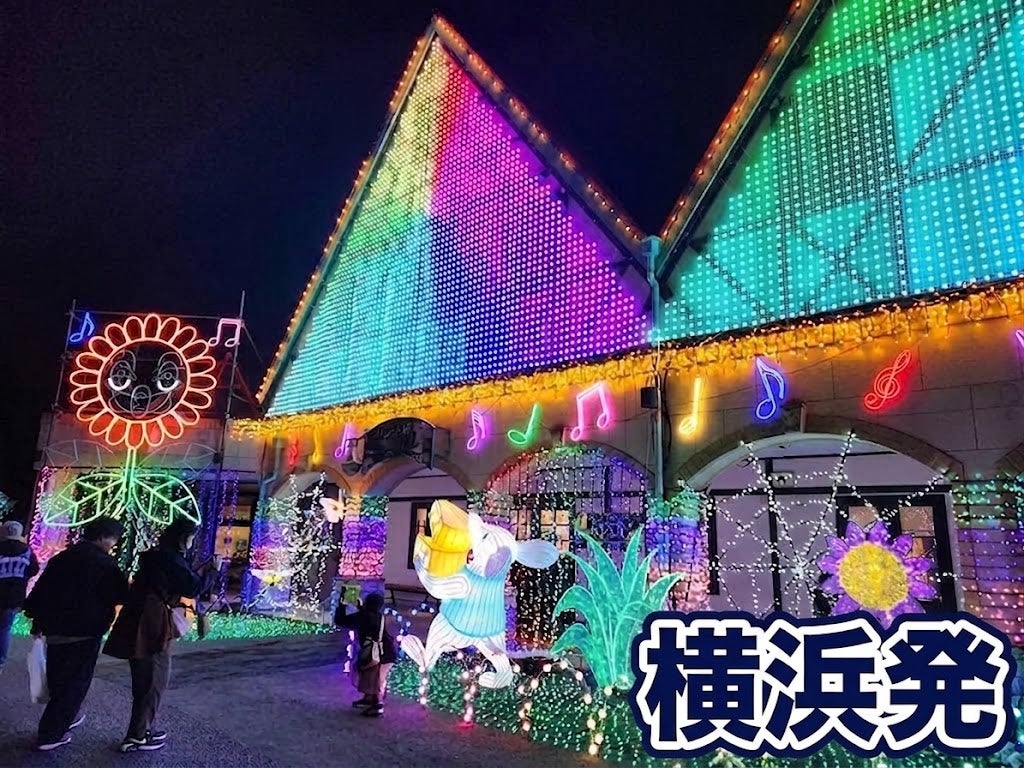【横浜発】9,000円台～ぶっとび格安✨幻想の光の世界✨「東京ドイツ村イルミネーション」＆海の幸など50種類以上🐚「海鮮浜焼き」＆「房州みかん狩り🍊」＆「海ほたる＆はちみつ工房🐝」 冬の絶景イルミ＆房総W食べ放題ツアー🚌1