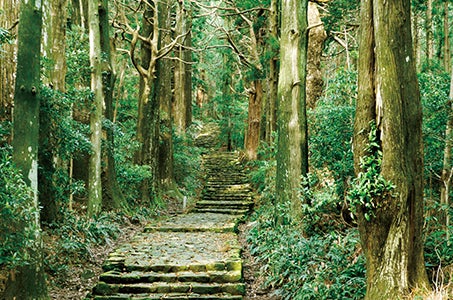 ≪青森空港発着≫3つの聖地　伊勢神宮両宮参り・熊野三山・高野山　紀伊半島を一気にめぐる4日間1