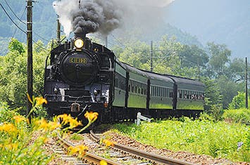 【基本プラン】大井川鐵道・奥大井湖上駅と絶景香嵐渓 錦秋の東海 2日間