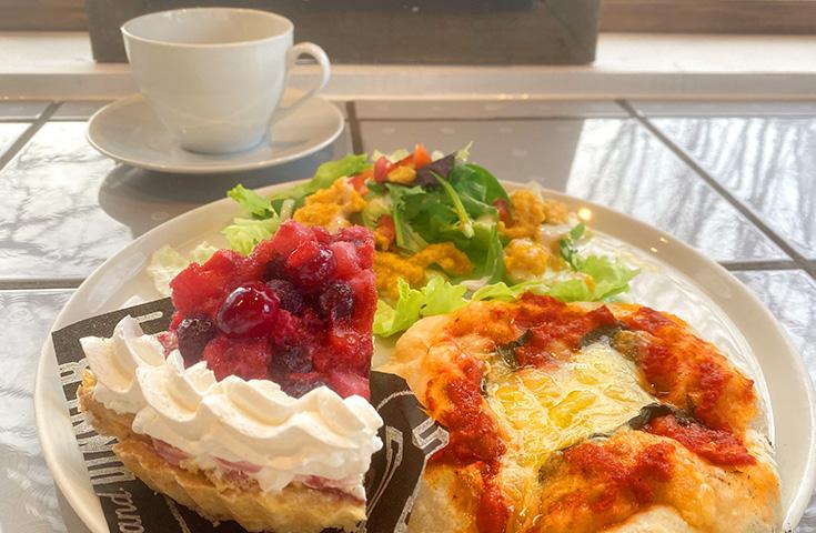 【愛犬同伴プラン】(5/8)☆わんちゃんOK☆『富士芝桜まつり』散策＆チューリップやネモフィラ等季節の花々鑑賞♪『天然酵母石窯ピザやタルト』のランチ付き日帰りvipわんツアー！3