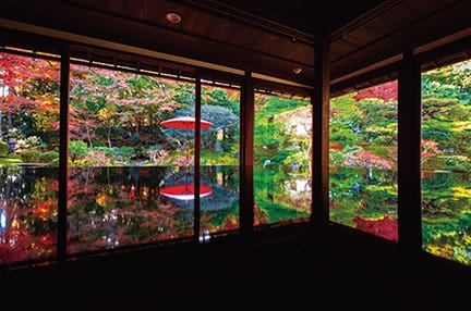 【名古屋】「海水園」で食すズワイガニコース 趣き溢れる玄宮園・絵画のような旧竹林院 3つの近江紅葉巡り 日帰り 担当者が自信をもってお届けする阪急交通社限定のズワイガニコース!!