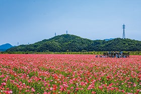 加古川　姫路発
笠岡ベイファームと倉敷美観地区散策1