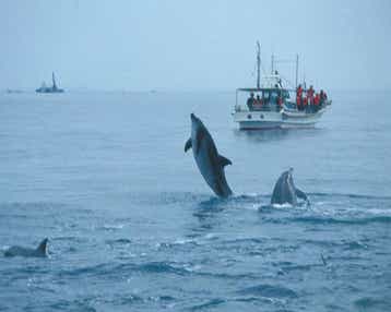 【女満別空港発】 BLACK＆RED！黒赤ミステリーツアー 3日間