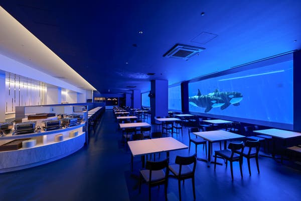 【福山・岡山発着】🐬神戸須磨シーワールド4時間滞在🐬　西日本初！シャチの見えるレストランでのブッフェランチ付き1