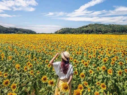 8/10催行決定！東京発 100万本の黄色い絶景「益子ひまわり畑」＆巨大地下神殿「大谷資料館」＜JAMJAM TOUR＞1