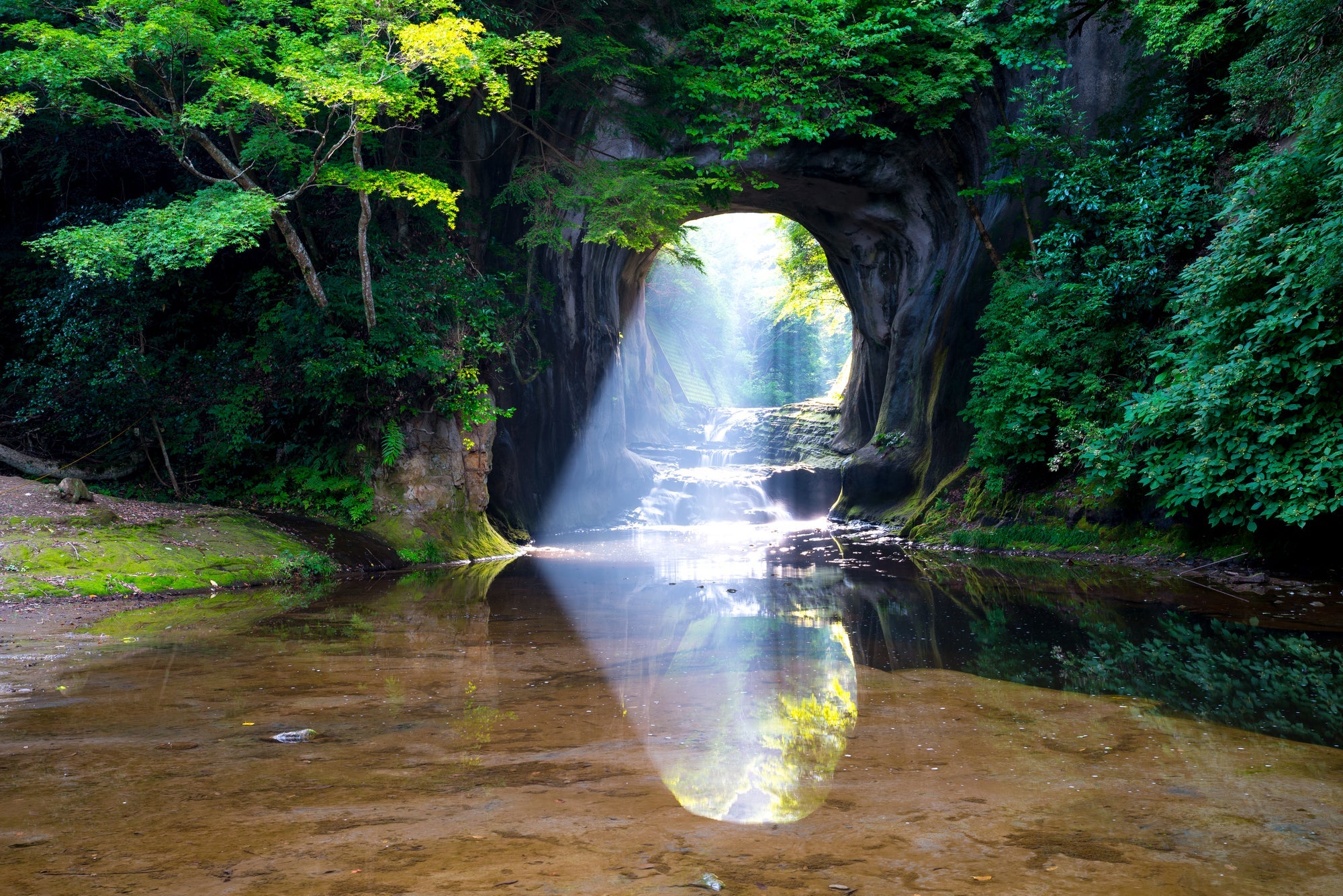 『トイレ付きバス利用！梅が彩る日本三名園の水戸偕楽園　千倉の花畑・小湊鉄道 春の房総フラワーライン　3日間』2