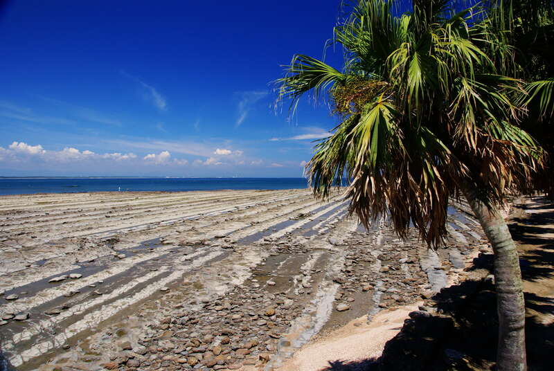 【福岡県内発】 充実の南九州3日間3