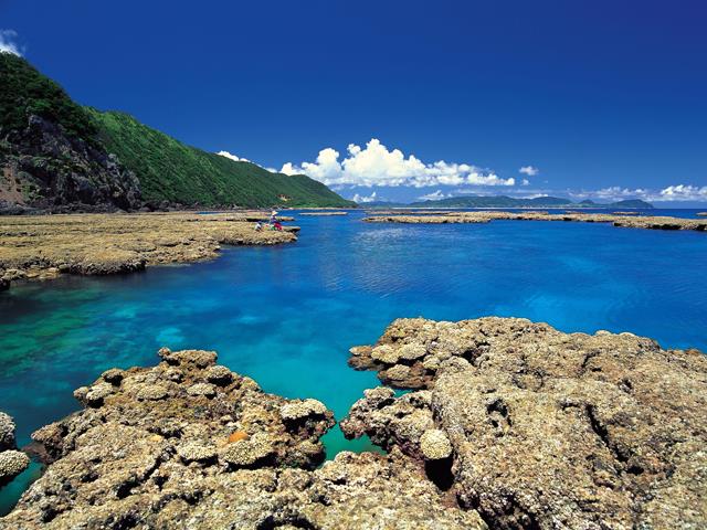 【滞在中レンタカー付】世界自然遺産登録を果たした奄美大島！豊かな自然と希少な生物が息づく南の島へ！奄美大島ホテルチョイスプラン 3泊4日3
