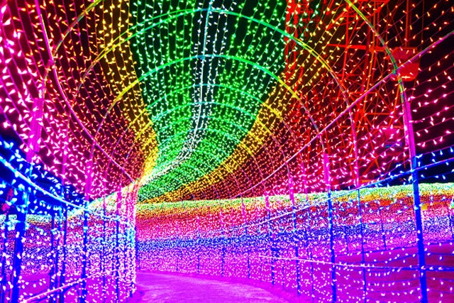 【新宿発】年末年始プレミアムツアー★寒い冬は南房総へ行こう♪　いちご狩り食べ放題＆大人気きよっぱち海鮮浜焼き食べ放題！！光と音で体感する「東京ドイツ村」イルミネーションも満喫♪　日帰りバスツアー2