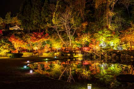 【秋田市内発】 平安時代の黄金文化を彷彿させる「えさし藤原の里」紅葉ライトアップと世界遺産中尊寺10年ぶりの秘仏「一字金輪佛頂尊」御開帳 (日帰り）