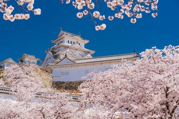 【富山・石川発】 日本さくら名所100選・世界遺産「姫路城」　日帰り1