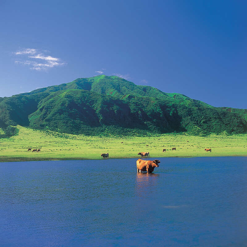 【山形空港発】 爽やか九州　阿蘇草千里・高千穂峡・湯布院・天空の散歩道（3日間）1