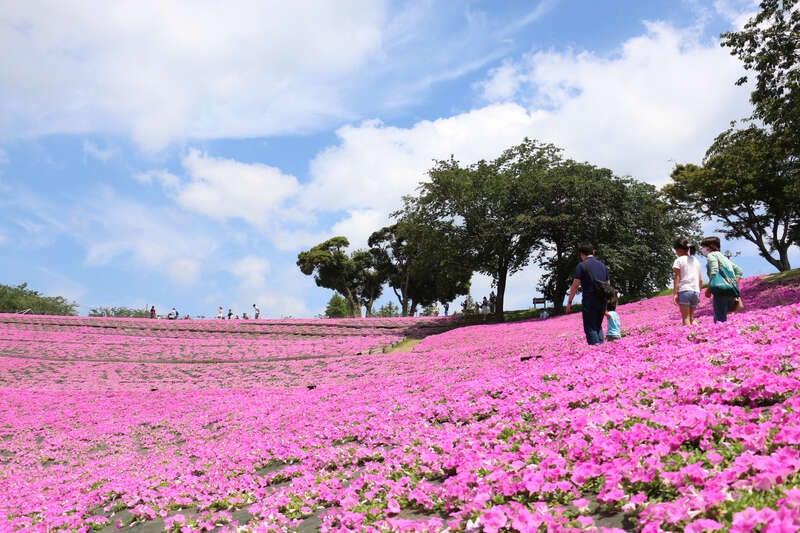 【福島県内発】 外資系オールインクルーシブホテルに宿泊！桃色吐息ミステリー 2日間2