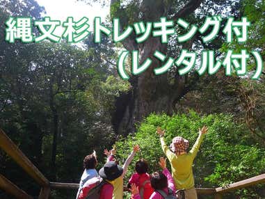 ■往復航空機利用！≪ガイドと行く縄文杉トレッキング＆登山レンタル装備3点付♪≫世界遺産「屋久島」4泊5日