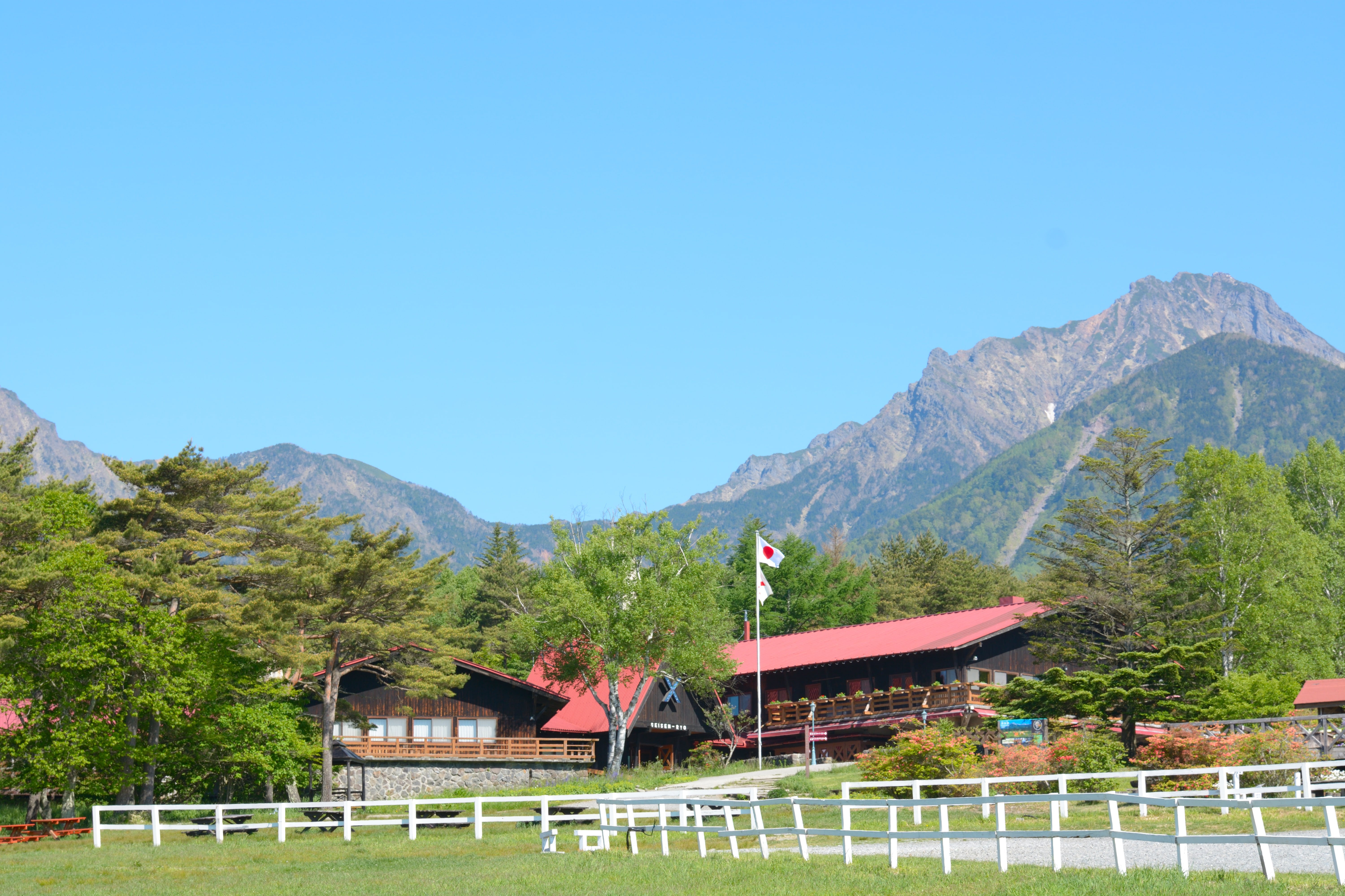 【静岡県内発】 母の日ミステリー2