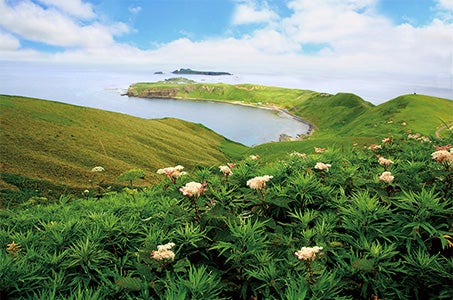 【菫】（梅田発/伊丹空港着 6月16日出発）北海道一周の旅 12日間　～クリスタルクルーザー「菫」　爽やかな風が心地よい北海道へ～3