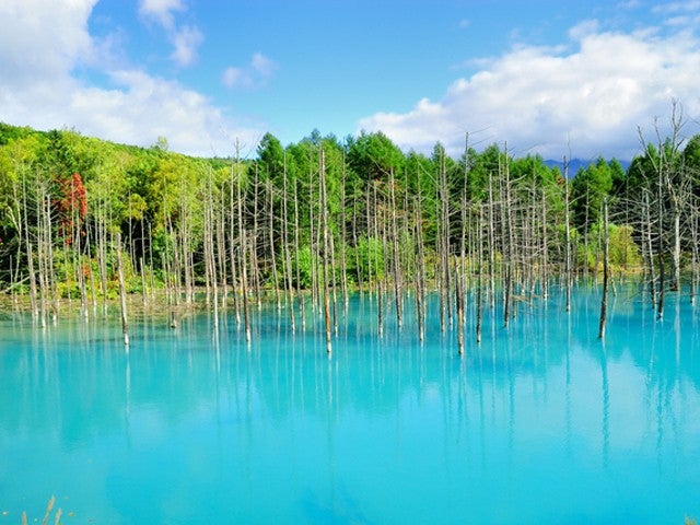 ■【夏旅セール】＜旭川空港利用＞旭川・富良野・層雲峡・トマム・サホロエリアのホテルから選択可能！ホテルチョイス2泊3日（フリープラン）1