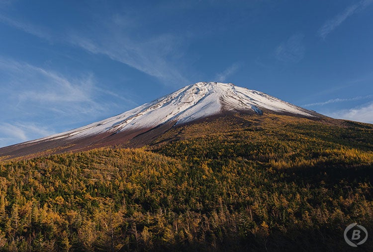 【三島駅発】秋の富士山下山ツアー｜紅葉の御中道・吉田口信仰の道トレッキングツアー3