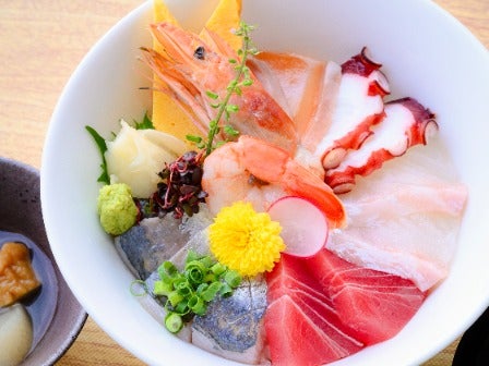 東京発 爽快！東京湾クルージング♪南房総「海鮮丼」と夏の味覚「ブルーベリー狩り」＆10万本のひまわり＜JAMJAM TOUR＞3