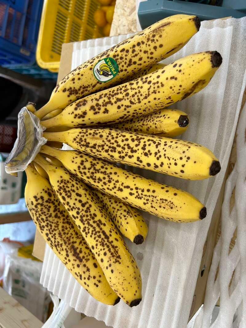 【京都エリア発】 母の日ミステリー　日帰り2