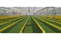 ◎WEB予約でリボンポイント3ポイント◎【名古屋駅発】*日帰り昼食付*『夏だ!みんなで自由研究』