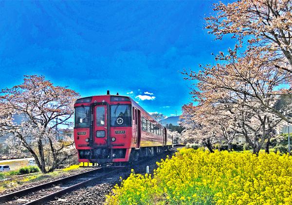 桜の駅から桜の駅まで久大本線ローカル列車と大分川さくら菜の花さんぽとゆふいん山水館ランチバイキング1