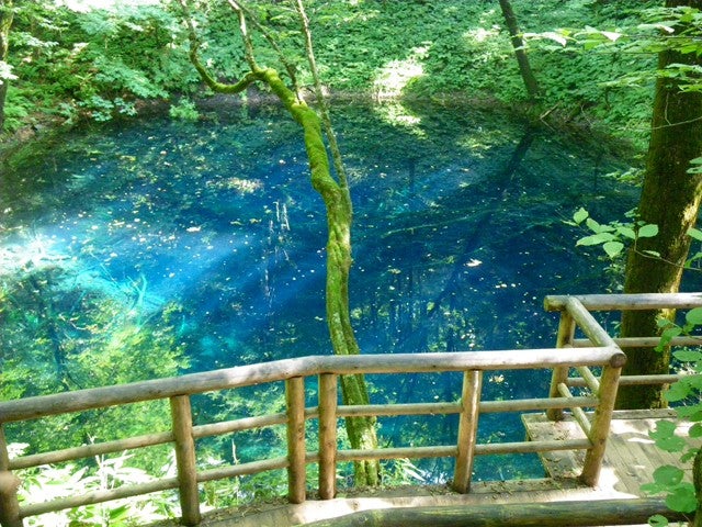 ■JALで行く！青森　自然・文化・美食・名湯が魅力の青森県♪　観光・ビジネスでのご利用にピッタリ　青森ホテルチョイス　フリープラン　2泊3日2