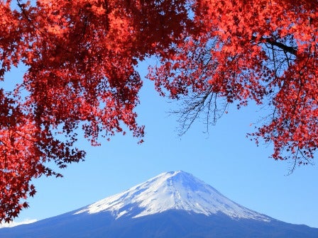 西船橋・新宿発 長野えびす講花火と紅葉の「河口湖」・「新倉山浅間神社」散策！善光寺参りと軽井沢を巡る充実旅＜JAMJAM TOUR＞2