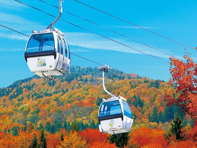 ■【栃木】錦秋の那須を空中散歩！「紅葉ゴンドラ」ハンターマウンテン塩原×穴場スポット「紅の吊橋」へ！源泉掛け流しの足湯回廊「湯っ歩の里」＆トマトとバジルのハニー油淋鶏のお弁当♪1