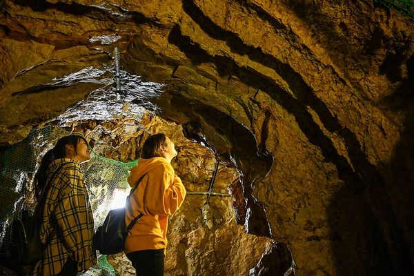 どこの島に訪れるかは当日のお楽しみ！チャーター船で航く！わくわく島上陸・探訪ミステリーツアー【河内磐船・枚方市・JR高槻発】2