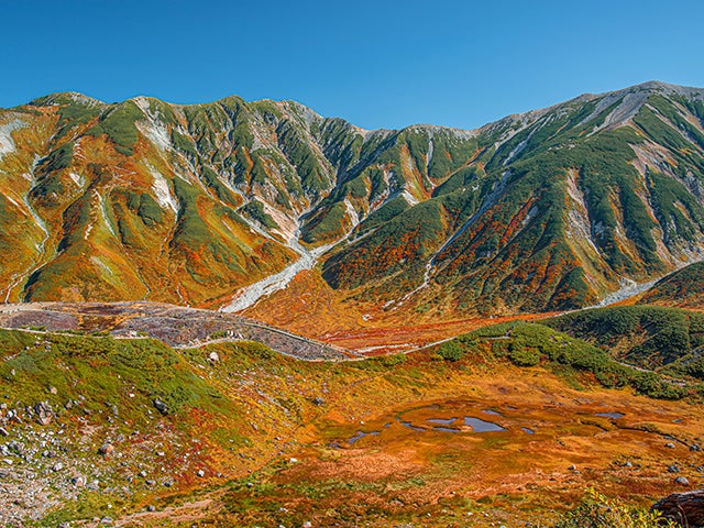 【名古屋発】■２０２６年１０月１１日（日）■白山白川郷ホワイトロードと紅葉の「立山室堂」　１泊２日　♪名鉄の泊りハイキング2