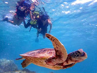 ■【2日目/午前】宮古島ブルーを半日で満喫♪SUPとウミガメシュノーケリングのセットプラン！ 宮古島チョイス 4泊5日＜対象年齢3～59歳＞