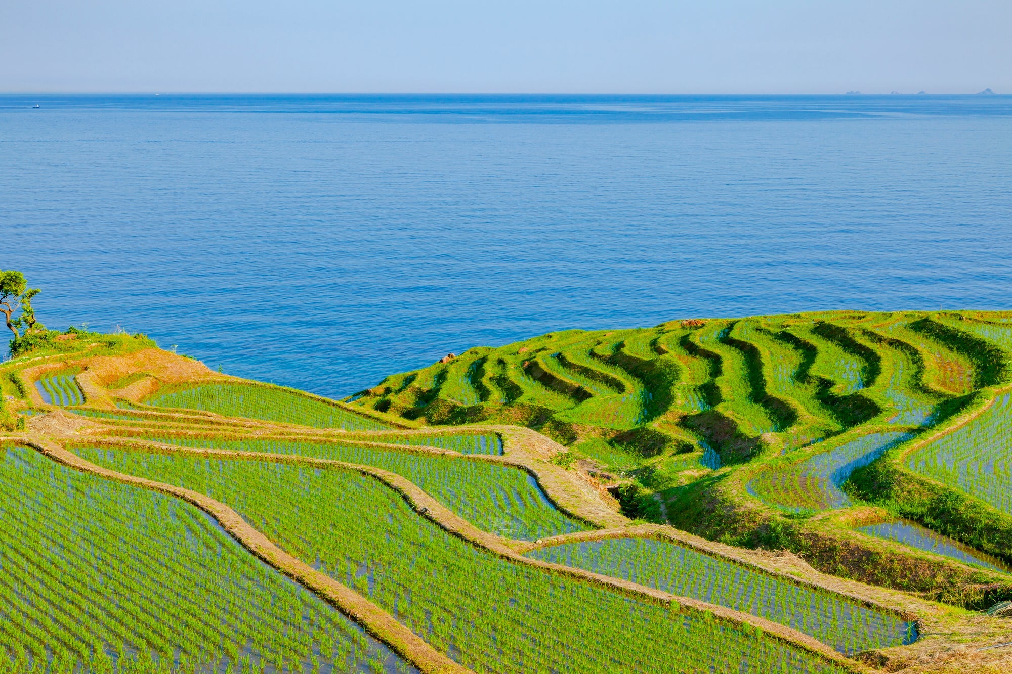 『旅で「能登」を応援！能登半島の「５つ星の宿」に宿泊・奥能登までぐるっと巡る能登半島　３日間』【博多・小倉出発】1