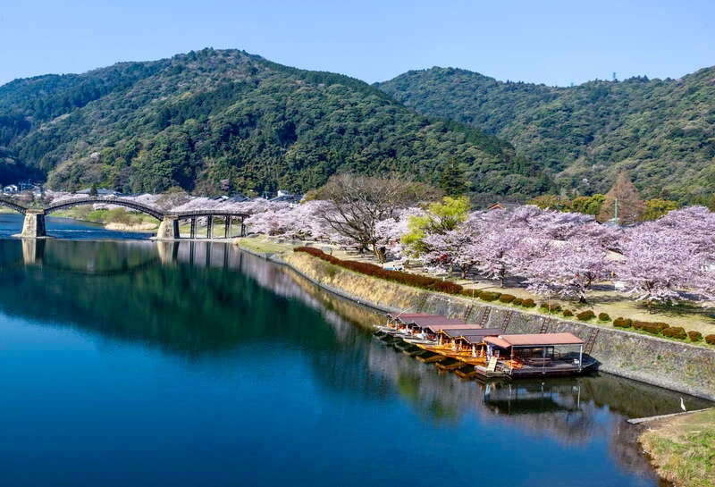 【出雲・松江・米子発】桜色に染まる岩国・錦帯橋と海とアートが出会う下瀬美術館　日帰り2