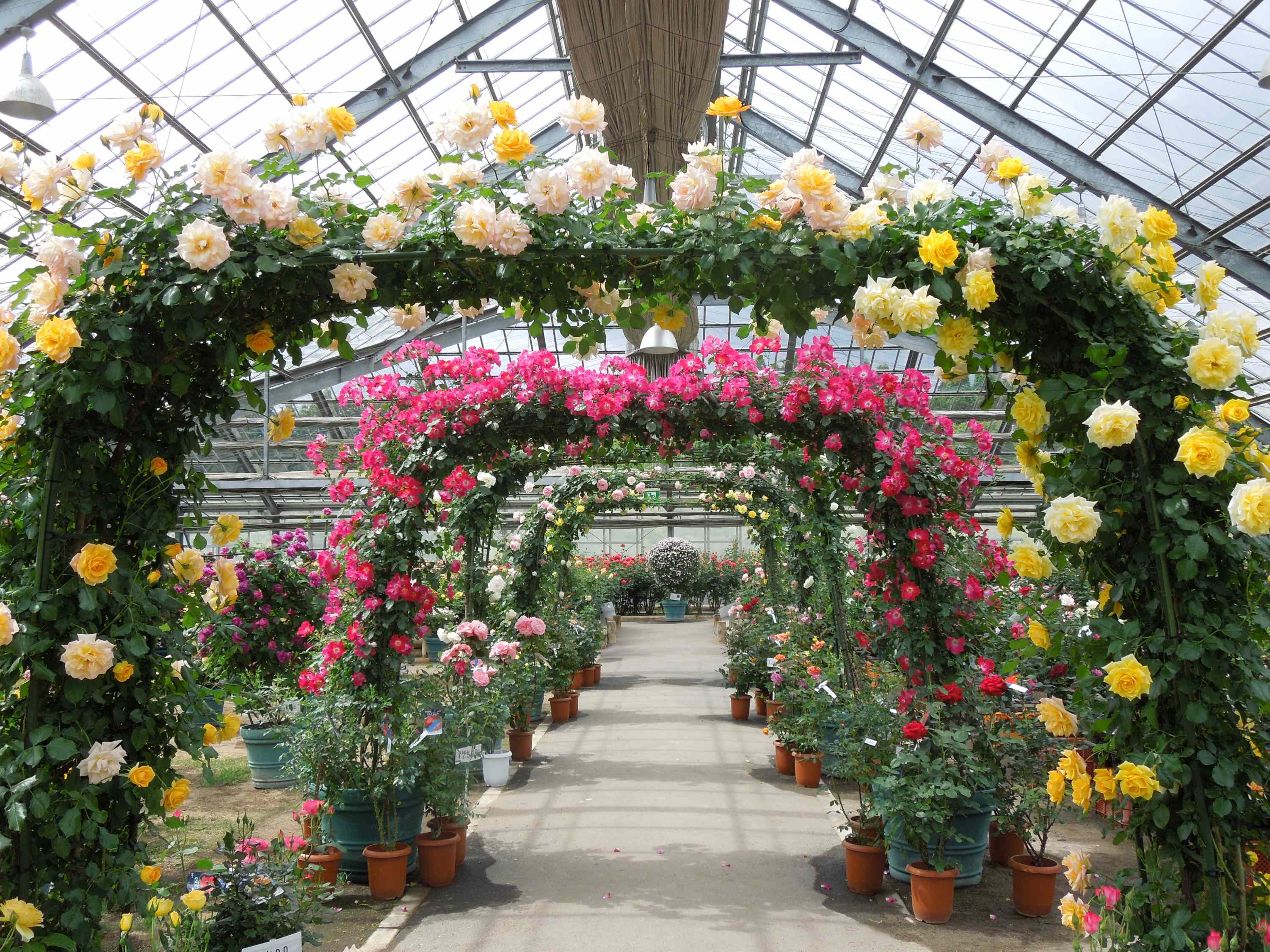 【赤間・東郷・福間・古賀発】 おかあさんいつもありがとう母の日ミステリーバスツアー　日帰り3