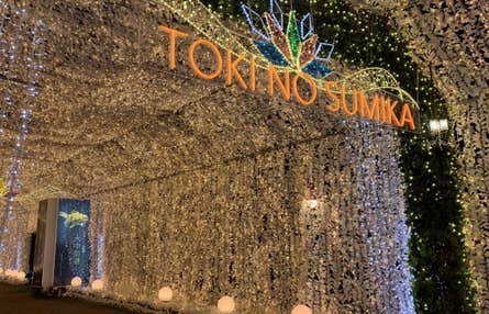 ★1/30 催行決定★【横浜発】時之栖イルミネーション＆いちご狩りで旬の味覚堪能♪ ～しらす釜めし御膳のご昼食付♪三嶋大社参拝と竜宮海鮮市場でお買い物～