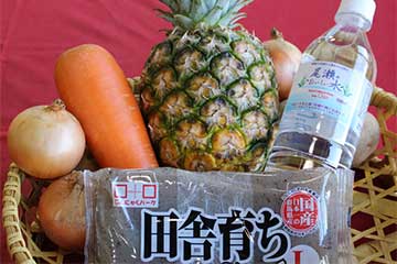 【高級果実狩り🍒＆『パイナップルや季節野菜』のお土産が付いて日帰り３食付き！/千葉駅・津田沼・松戸発】上州ブランド高級果実さくらんぼ🍒狩り食べ放題スペシャル！3