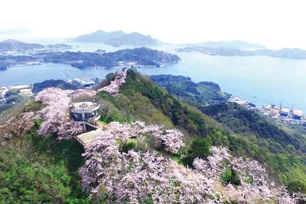 ＜愛媛県＞春風の誘い！青いレモンの島 「岩城島」を訪ねる【名谷・西神中央出発】