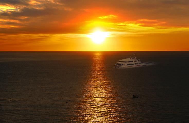 【早割30】[新宿発]プレミアムプラン【トイレ付3列シートバスで行く】≪初日の出/新春日帰りツアー≫新春♪初日の出クルーズ＆富士山本宮浅間大社へ参拝、太平洋を望むスパで心身ともに温まる日帰りバスツアー2