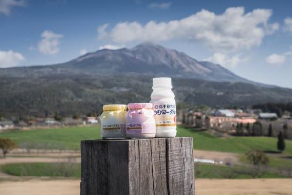 霧島神宮初詣と高千穂牧場焼肉ランチ⛩　日帰りバスツアー🚌2