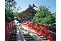 ★９/１７出発・１１/１２出発【名古屋駅発】往路フェリー・復路新幹線利用　太平洋フェリーで行く！日本三景・松島と世界遺産中尊寺・名湯　秋保温泉『みちのく名所周遊４日間』2