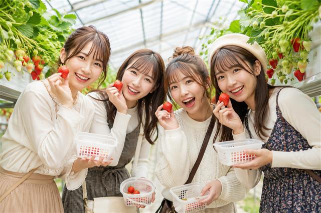 ■オリオンツアー５０周年記念！第３弾！岐阜名古屋発ハイジの村で山梨の郷土料理のランチバイキングともぎたてフレッシュいちご狩り食べ放題３０分ヘ行く日帰りバスツアー信玄餅つめ放題付き！1