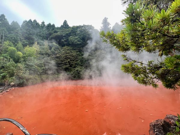 桜彩る九州へ！博多＆別府温泉２泊３日2