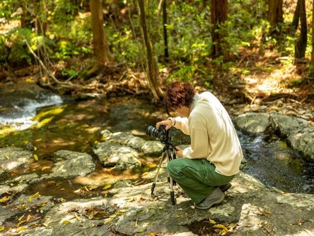 ■≪楽々！”頑張らない屋久島”苔むす渓谷のお散歩ツアー付き！(午後)≫年齢制限なし！頑張らなくても苔むす岩と渓流に出会える！カメラマンが秘密のスポットへご案内　往復航空機利用屋久島　2泊3日1