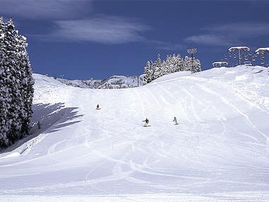 ■●【新宿発着Ａタイム】朝発日帰り　上越国際スキー場【滞在約4時間-4時間30分】