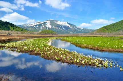【岡山空港発】 尾瀬ヶ原 ハイキング３日間＊